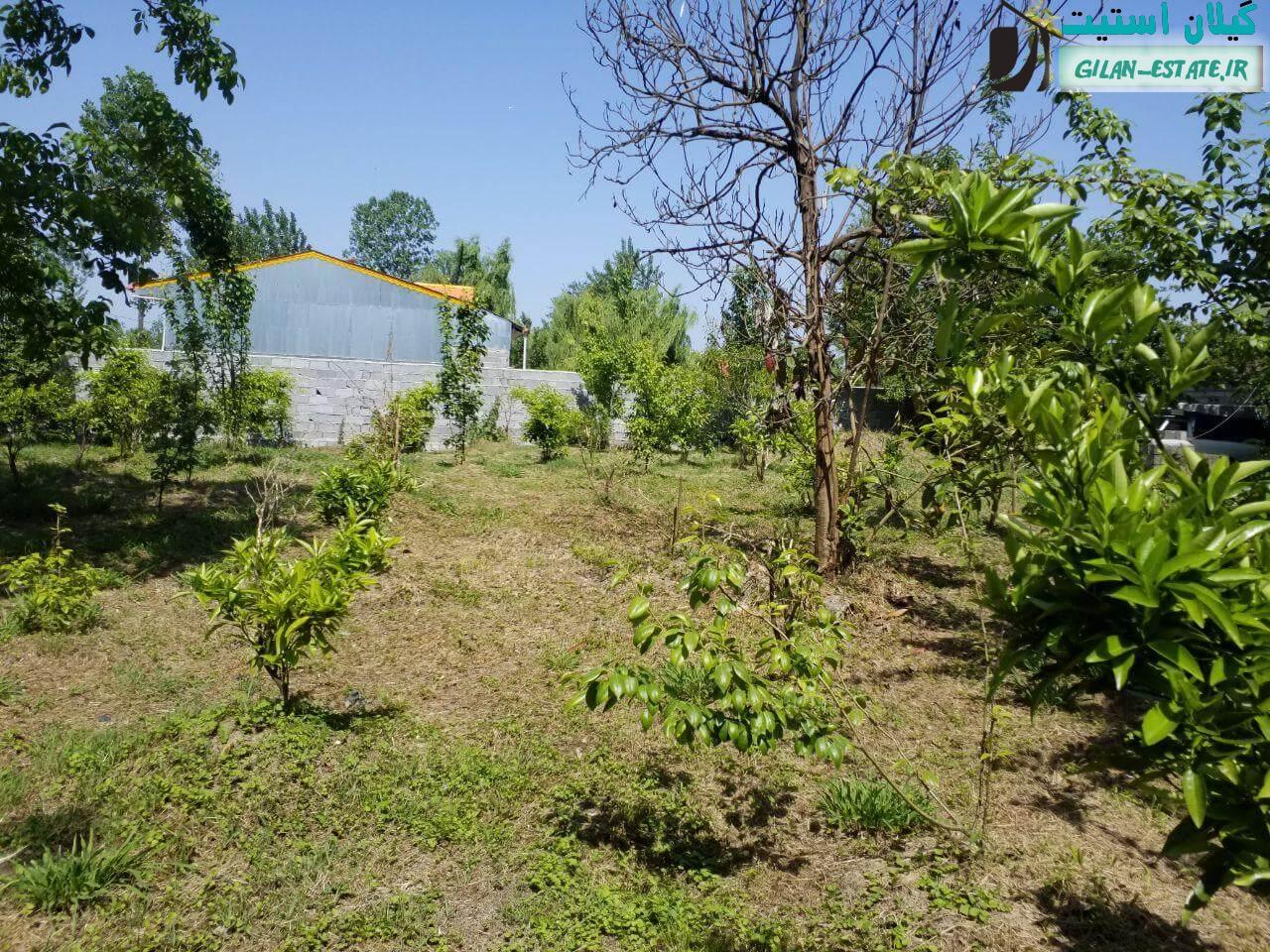خرید ویلا باغ در لنگرود - 1700 متر زمین باغ میوه