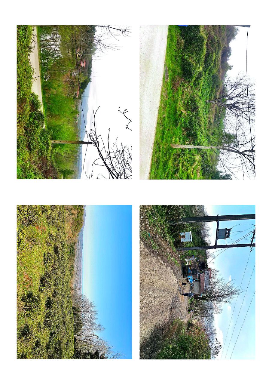 خرید زمین باغ خانه برآسفالت کوهپایه ای گیلان 
